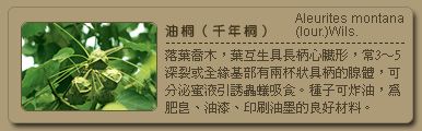 51d12a1ff1356.jpg