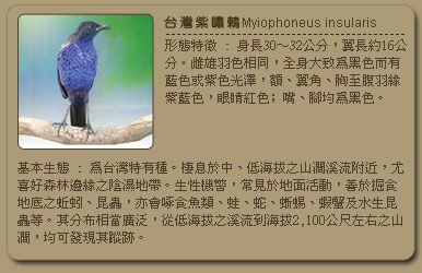 51d12a22e9dcd.jpg