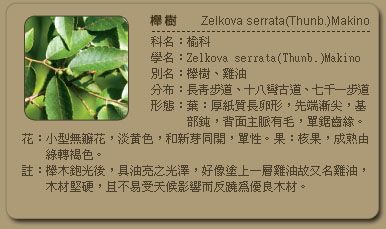 51d12a24ef367.jpg