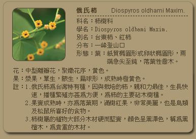 51d12a25eeb97.jpg