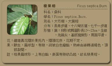 51d12a240bb06.jpg