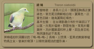 51d12a2401ebe.jpg